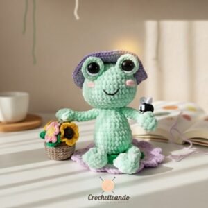 Kit completo de amigurumi rana con materiales, patrón y caja de regalo.